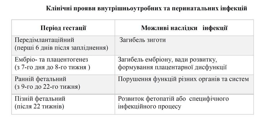 aa_2_2_l_13_TORCH_015